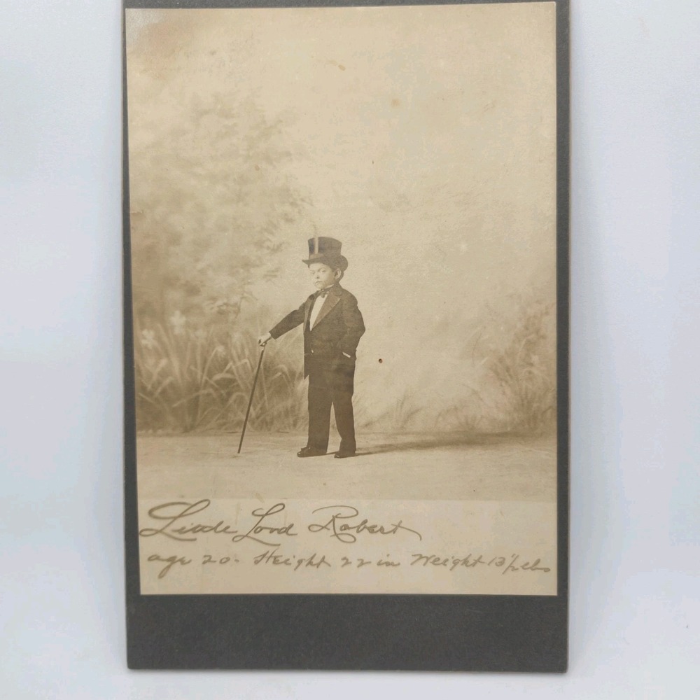 Little Lord Robert Cabinet Card 1890s Robert Kantor Circus Sideshow Wizard Photo